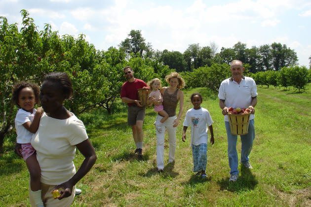 A group of people, including adults and children, walk through an orchard carrying baskets of fruit on a sunny day.