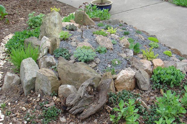 Rock garden with succulents and decorative stones.