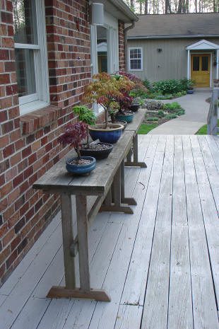 Potted plants on wooden table by patio.