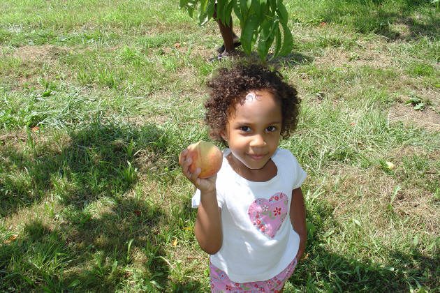 Young child standing on grass, holding a peach in one hand, wearing a white shirt with a pink heart design, and looking up at the camera.