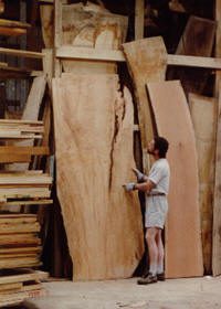 A person wearing shorts and gloves examines large slabs of wood stored vertically in a workshop.