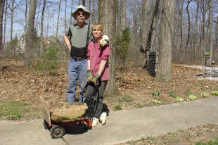 Two people gardening with a wheelbarrow outdoors.