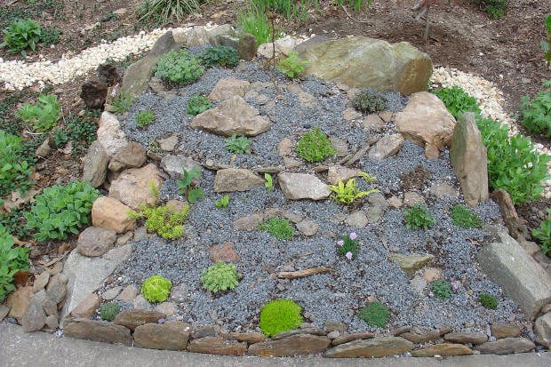 Rock garden with succulents and gravel path.