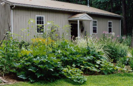A house with light-colored siding is surrounded by a lush, dense garden filled with various green plants and flowers in the foreground.