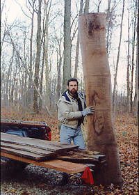 A man stands in a wooded area next to a truck, holding a large, upright wooden plank with more planks stacked nearby.