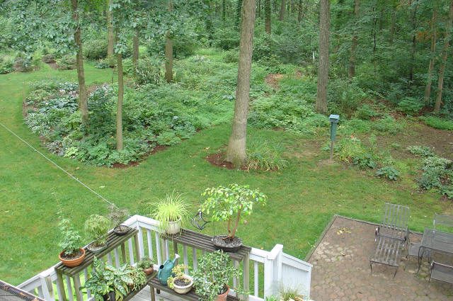 A backyard with a deck holding potted plants, a patio with chairs, and a grassy area bordered by trees and dense greenery.