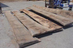 Several large, rough-cut wooden slabs are laid out on the ground in an outdoor industrial area, with a forklift visible in the background.