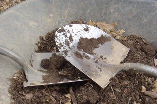 Two garden shovels covered with soil rest in a wheelbarrow filled with dirt and small pieces of debris.
